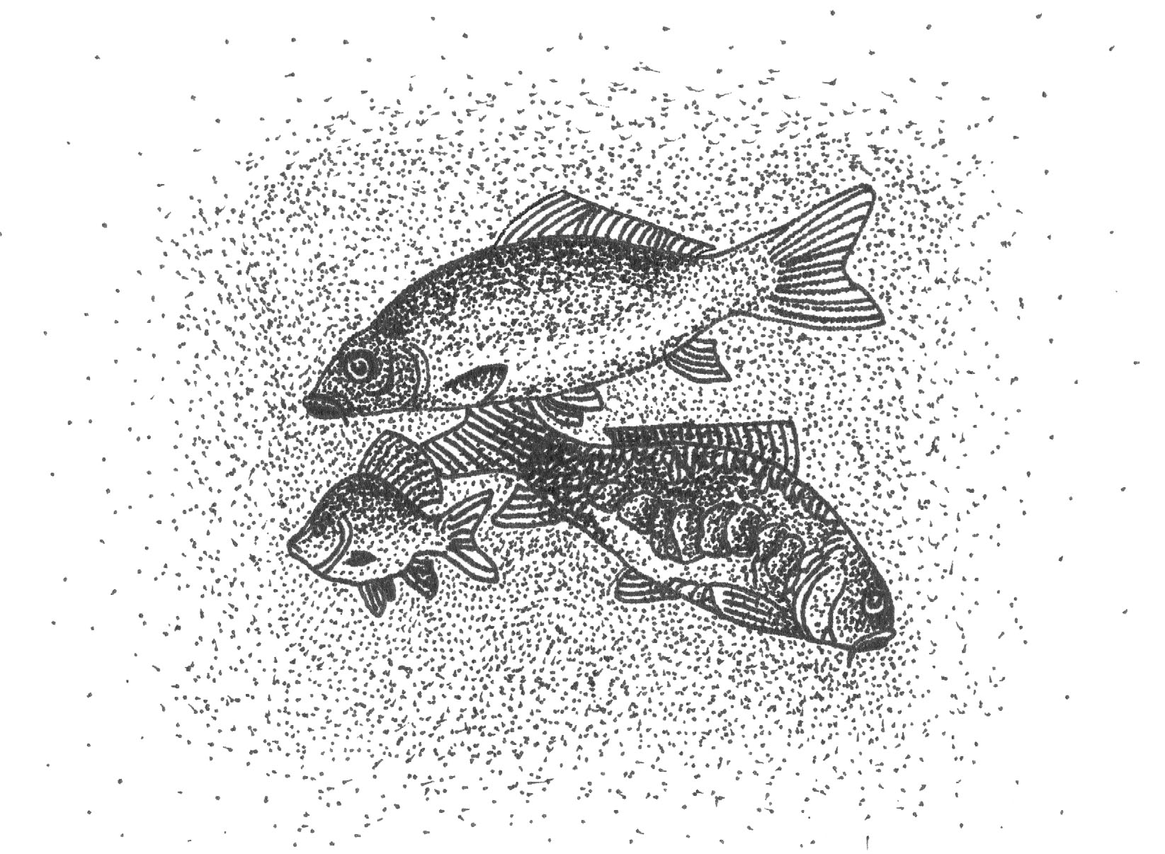 Fish Stipple Drawing, Pen