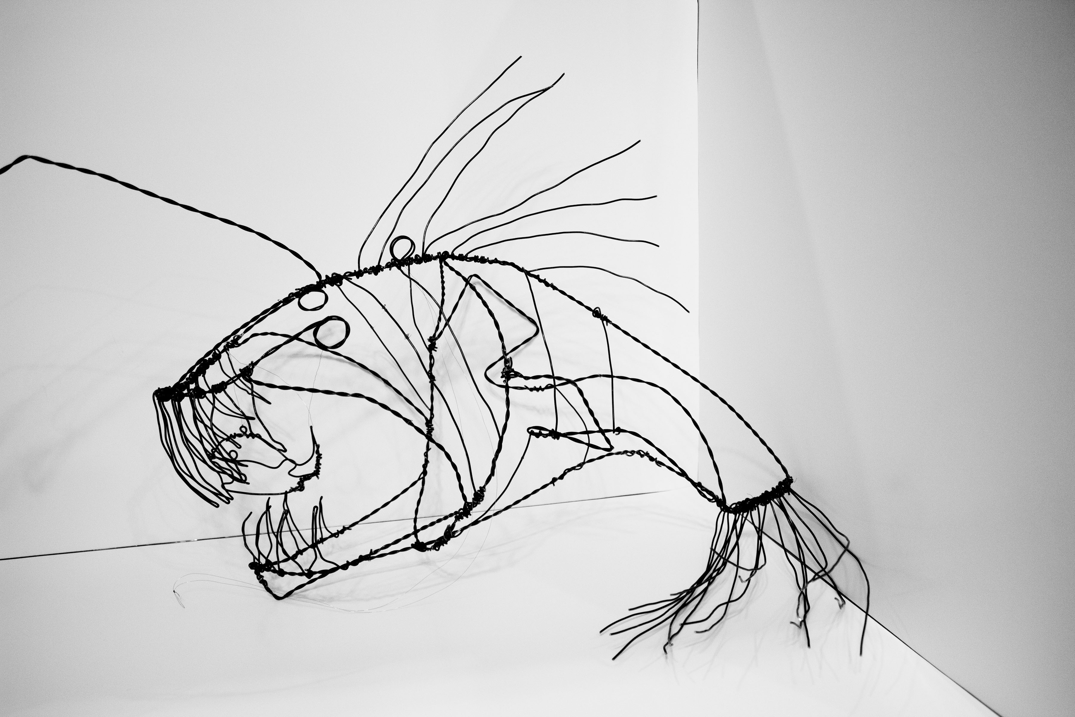 Angler, Wire Sculpture